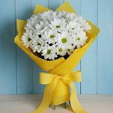 Букет цветов из:  Хризантемы в Сорске