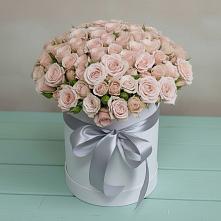 Цветочная композиция из Розы в шляпной коробке #REPLACE_PRED# Сорске