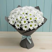 Букет цветов из:  Хризантемы в Сорске