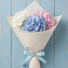 Букет цветов из:  Гортензия в Сорске