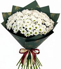 Букет цветов из:  Хризантемы #REPLACE_PRED# Сорске