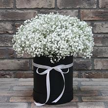 Цветочная композиция из Гипсофила в шляпной коробке в Сорске