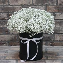 Цветочная композиция из Гипсофила в шляпной коробке в Сорске