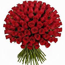 Букет Красные розы Чери Лав в Сорске
